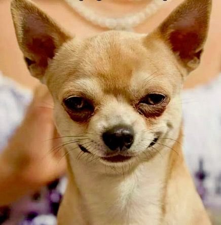 Beyond Material Showoffs: Why Keeping Your Mind Unbothered is the Real Luxury on Campus
