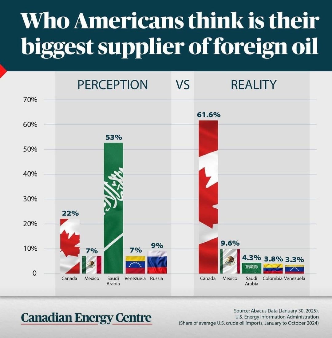 Provider for Oil in USA!