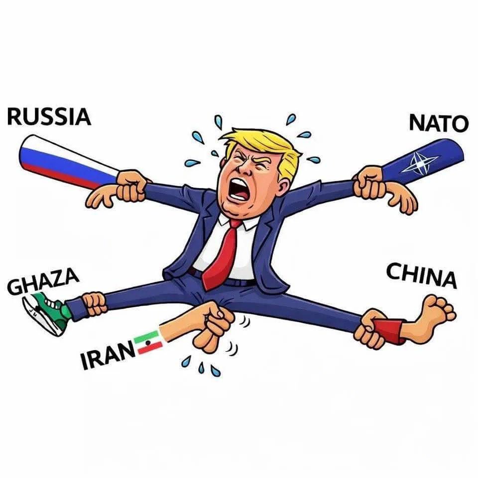 State of Trump